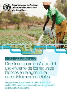 Directrices para el c&aacute;lculo del uso eficiente de los recursos h&iacute;dricos en la agricultura en los informes mundiales - V. Gillet, R. Biancalani