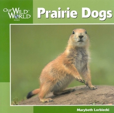 Prairie Dogs - Adjunct Professor of Writing Marybeth Lorbiecki