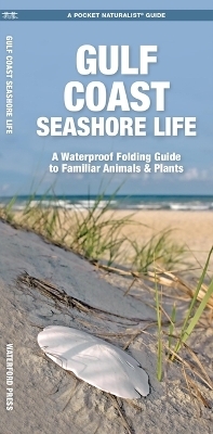 Gulf Coast Seashore Life, 2nd Ed -  Waterford Press