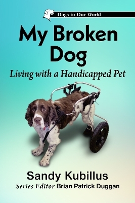 My Broken Dog - Sandy Kubillus