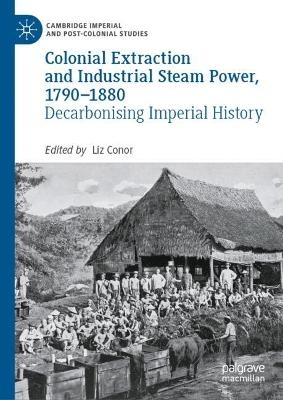Colonial Extraction and Industrial Steam Power, 1790–1880 - 