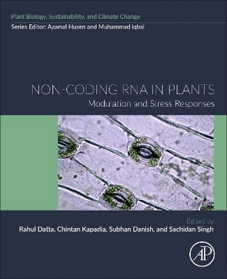 Non-coding RNA in Plants