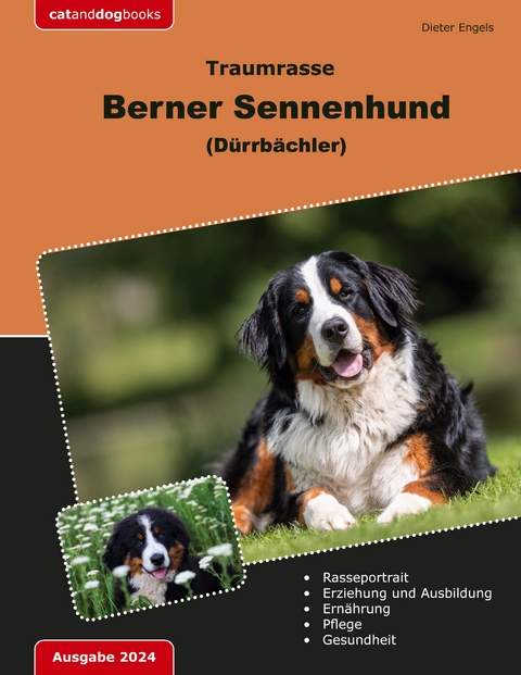 Traumrasse Berner Sennenhund - Dieter Engels
