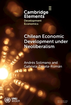 Chilean Economic Development under Neoliberalism - Andr&eacute;s Solimano, Gabriela Zapata-Rom&aacute;n