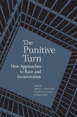 The Punitive Turn - Deborah E. McDowell, Claudrena N. Harold, Juan Battle