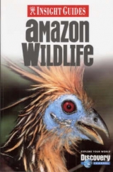 Amazon Wildlife Insight Guide - 