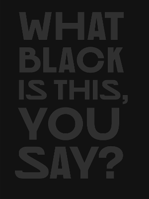 What Black Is This You Say? - Amanda Williams