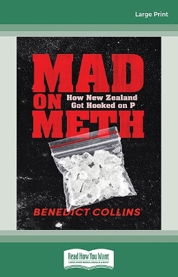 Mad on Meth - Benedict Collins