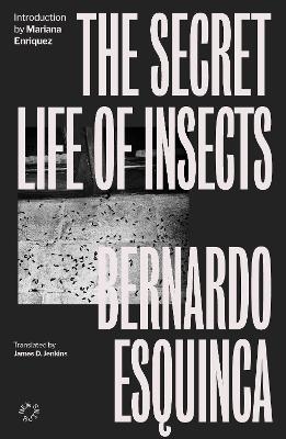 The Secret Life of Insects - Bernardo Esquinca