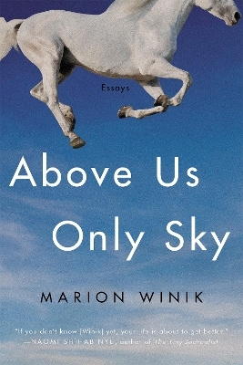 Above Us Only Sky - Marion Winik