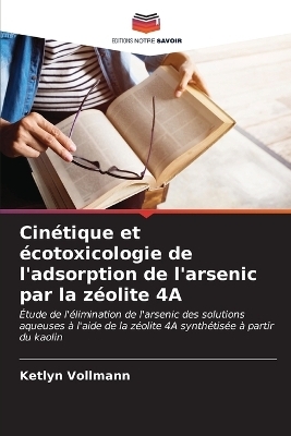 Cin&eacute;tique et &eacute;cotoxicologie de l'adsorption de l'arsenic par la z&eacute;olite 4A - Ketlyn Vollmann