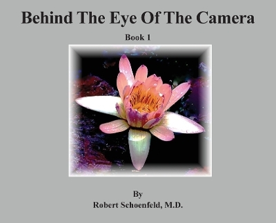 Behind The Eye Of The Camera - Robert Schoenfeld