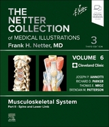 The Netter Collection of Medical Illustrations: Musculoskeletal System, Volume 6, Part II - Spine and Lower Limb - Iannotti, Joseph P.; Parker, Richard; Mroz, Tom; Patterson, Brendan; Abelson, Abby