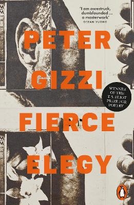 Fierce Elegy - Peter Gizzi