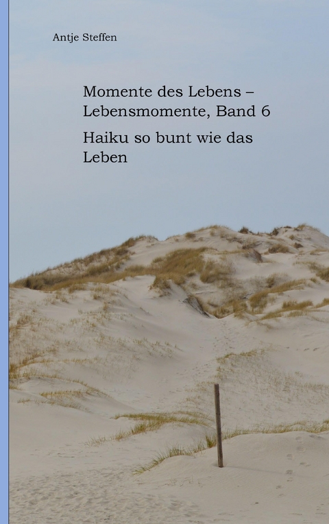 Momente des Lebens - Lebensmomente Band 6 - Antje Steffen