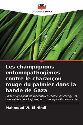 Les champignons entomopathogènes contre le charançon rouge du palmier dans la bande de Gaza