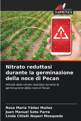 Nitrato reduttasi durante la germinazione della noce di Pecan - Rosa Mar&iacute;a Y&aacute;&ntilde;ez Mu&ntilde;oz, Juan Manuel Soto Parra, Linda Citlalli Noperi Mosqueda