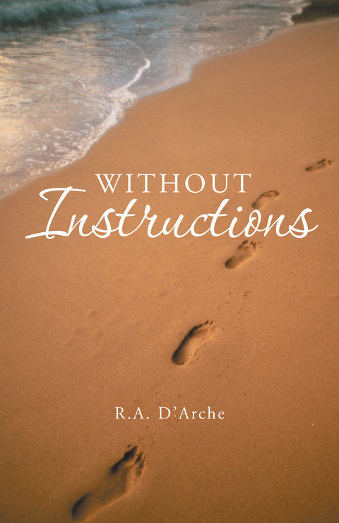 Without Instructions - R. a. D'Arche