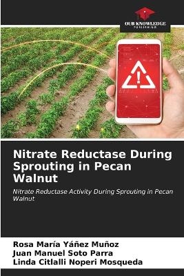Nitrate Reductase During Sprouting in Pecan Walnut - Rosa Mar&iacute;a Y&aacute;&ntilde;ez Mu&ntilde;oz, Juan Manuel Soto Parra, Linda Citlalli Noperi Mosqueda