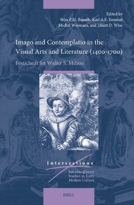 Imago and Contemplatio in the Visual Arts and Literature (1400–1700)