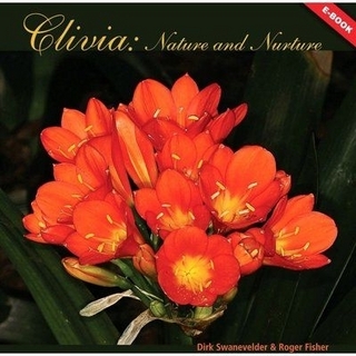 Clivia - Nature and Nurture