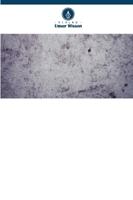 Studie &uuml;ber selbstverdichtenden Beton unter Verwendung von Marmorstaub und GGBFS - Pratik Gajjar, Paresh Nimodia