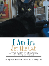 I Am Jet Jet the Cat - Brigitta Gisella Geltrich-Ludgate