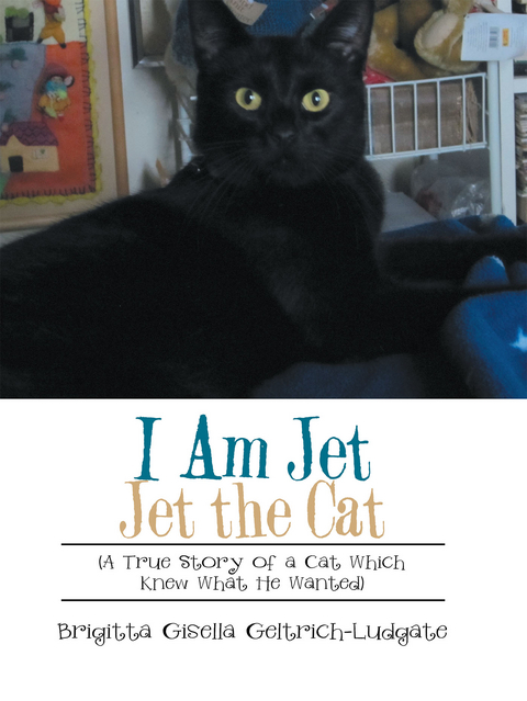 I Am Jet Jet the Cat - Brigitta Gisella Geltrich-Ludgate