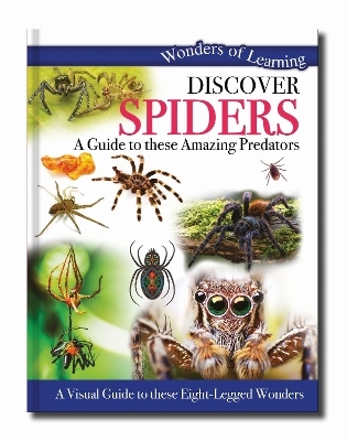 Discover Spiders