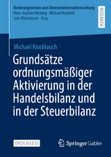 Grunds&auml;tze ordnungsm&auml;&szlig;iger Aktivierung in der Handelsbilanz und in der Steuerbilanz - Michael Knoblauch