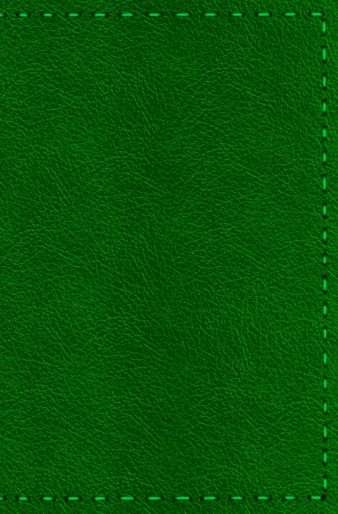 Notizbuch - Leder mit Naht (Farbe wie abgebildet) - H&auml;ndlerin des Waldes