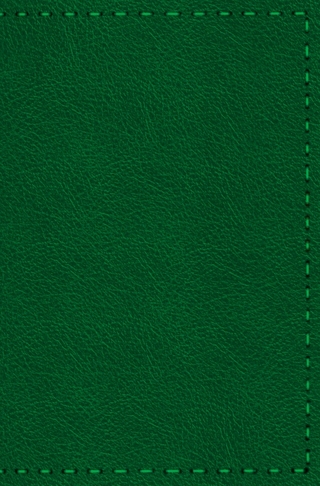 Notizbuch - Leder mit Naht (Farbe wie abgebildet)