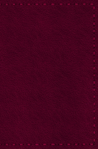 Notizbuch - Leder mit Naht (Farbe wie abgebildet)