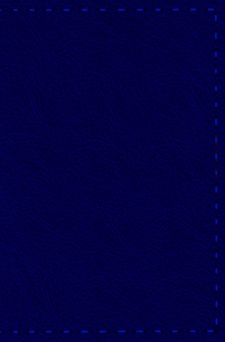 Notizbuch - Leder mit Naht (Farbe wie abgebildet)