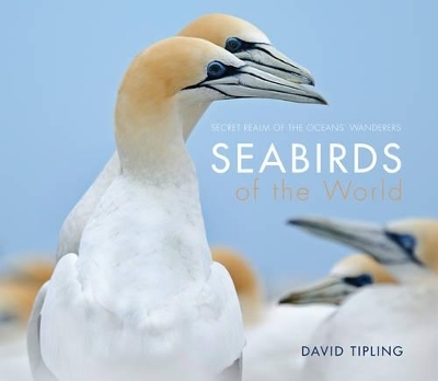 Seabirds of the World - David Tipling