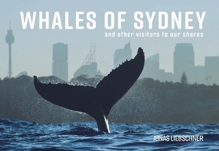 Whales of Sydney