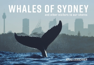 Whales of Sydney - Jonas Liebschner