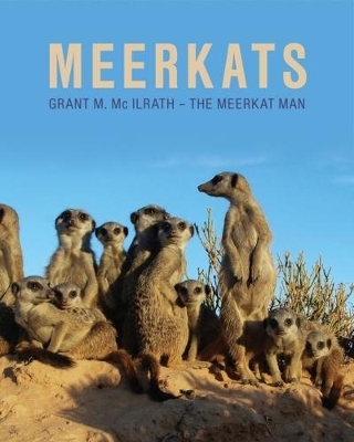 Meerkats