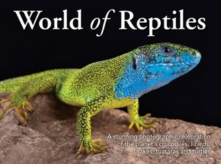 World of Reptiles