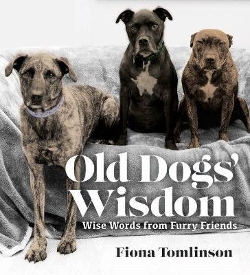 OLD DOGS' WISDOM - Fiona Tomlinson