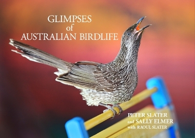 Glimpses of Australian Birdlife - Peter Slater, Sally Elmer, Raoul Slater