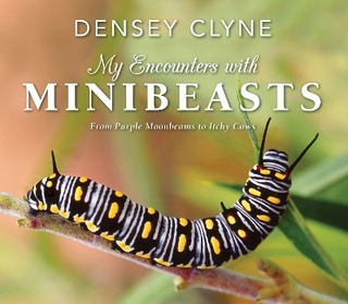 My Encounters with Minibeasts