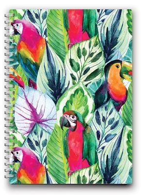 Toucan Birds A5 Spiral Notepad -  New Holland Publishers