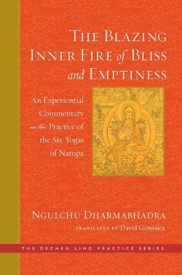 The Blazing Inner Fire of Bliss and Emptiness - David Gonsalez