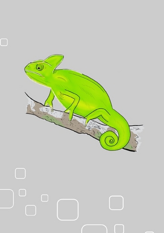 Notizheft Chamäleon