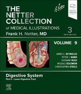 The Netter Collection of Medical Illustrations: Digestive System, Volume 9, Part II - Lower Digestive Tract - Reynolds, James C.; Ward, Peter J.; Rose, Suzanne; Solomon, Missale