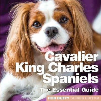 Cavalier King Charles Spaniels - 