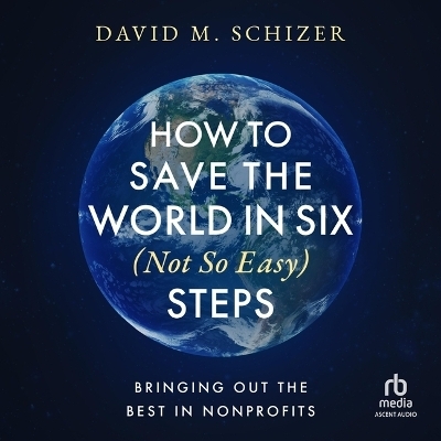 How to Save the World in Six (Not So Easy) Steps - David M Schizer
