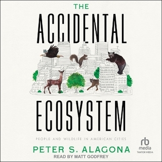 The Accidental Ecosystem