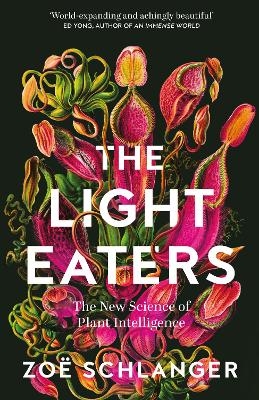 The Light Eaters - Zo&euml; Schlanger
